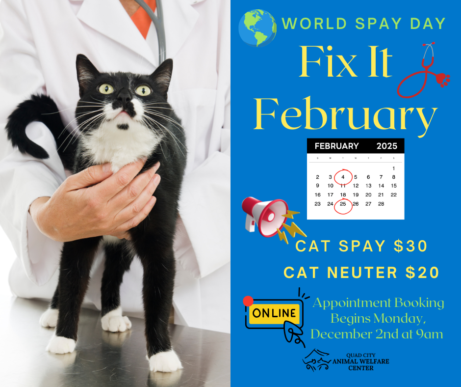 World spay day